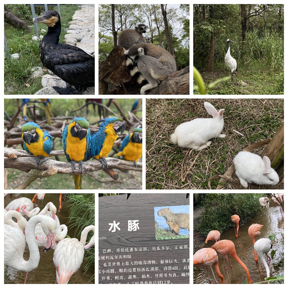 厚積薄發(fā)，蓄力前行：大手牽小手，共圓實(shí)佳夢